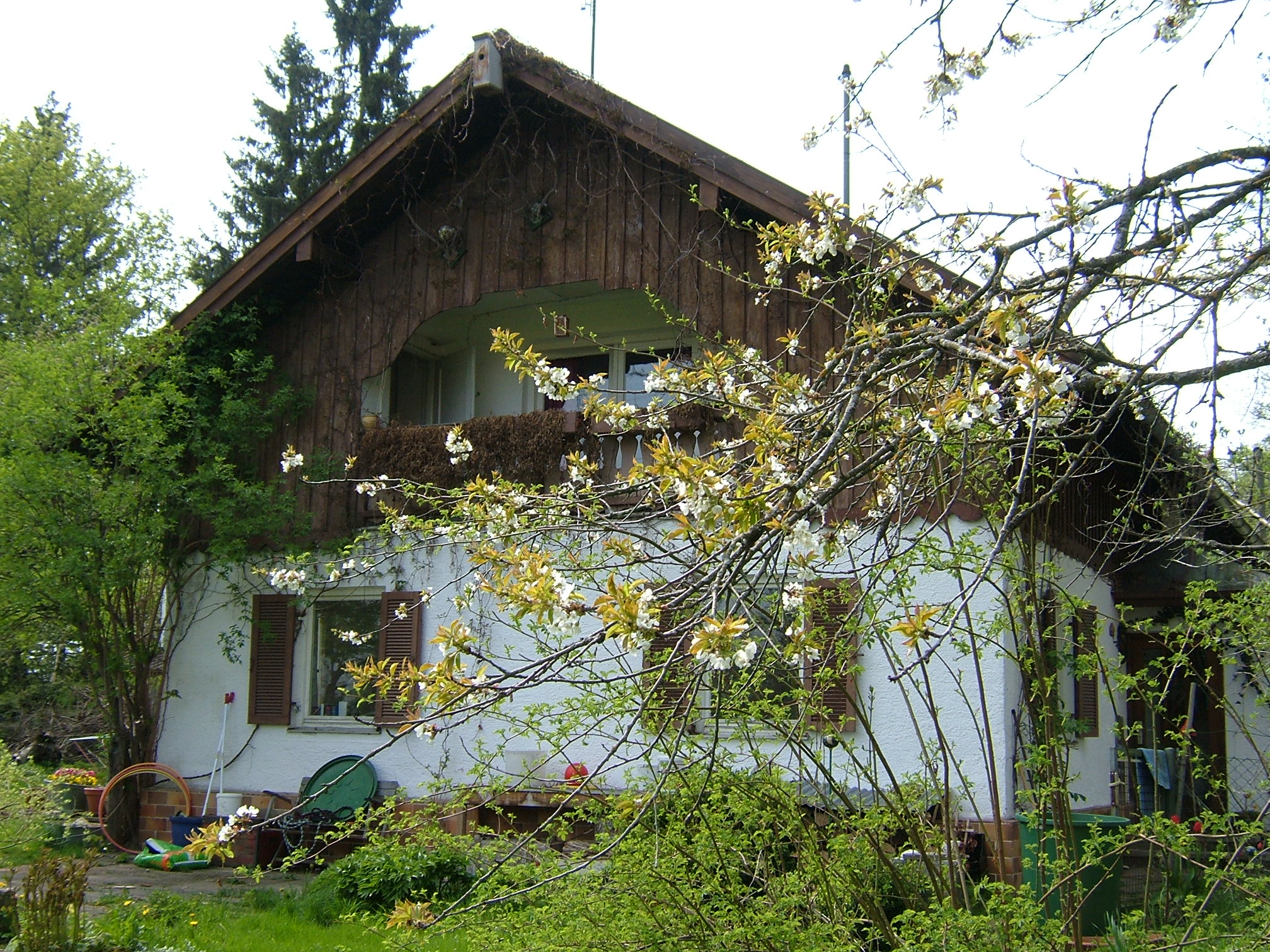 Neues Zuhause